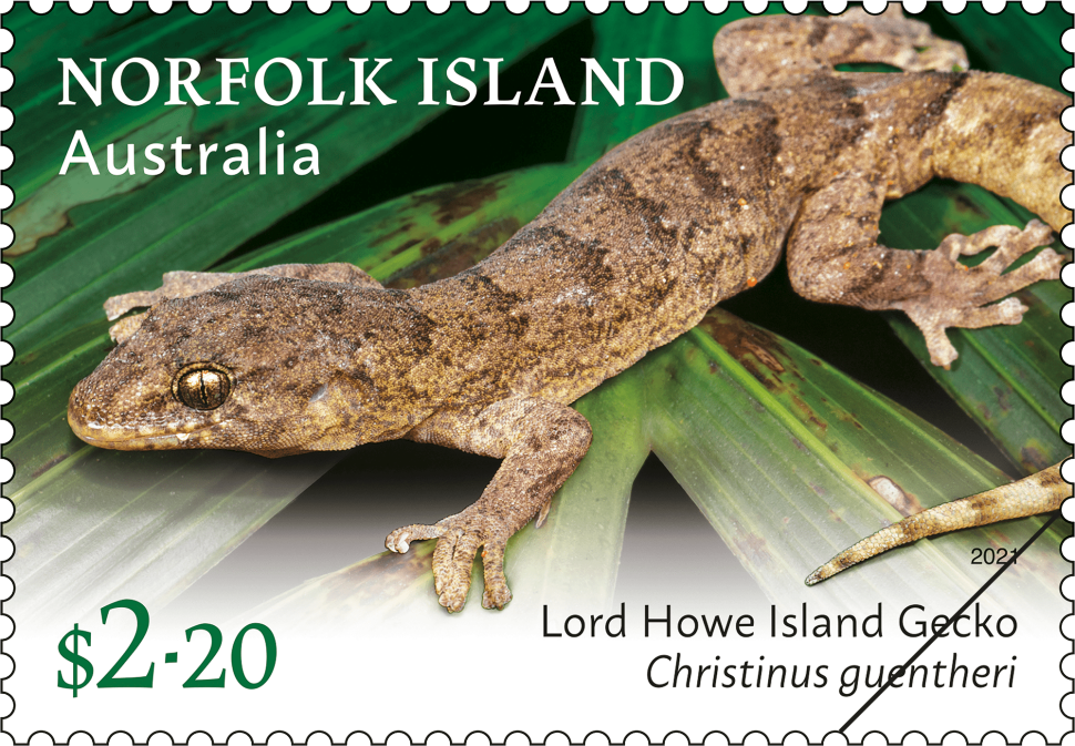 $2.20 Lord Howe Island Gecko, Christinus guentheri