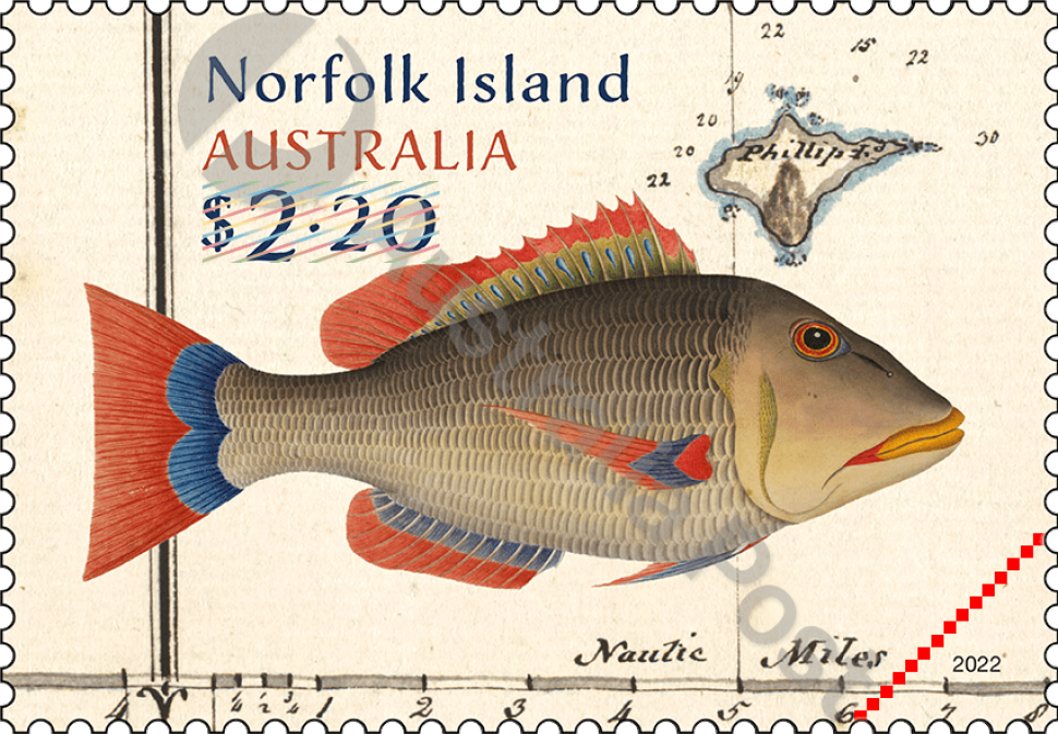 $2.20 Snapper of Norfolk Island 