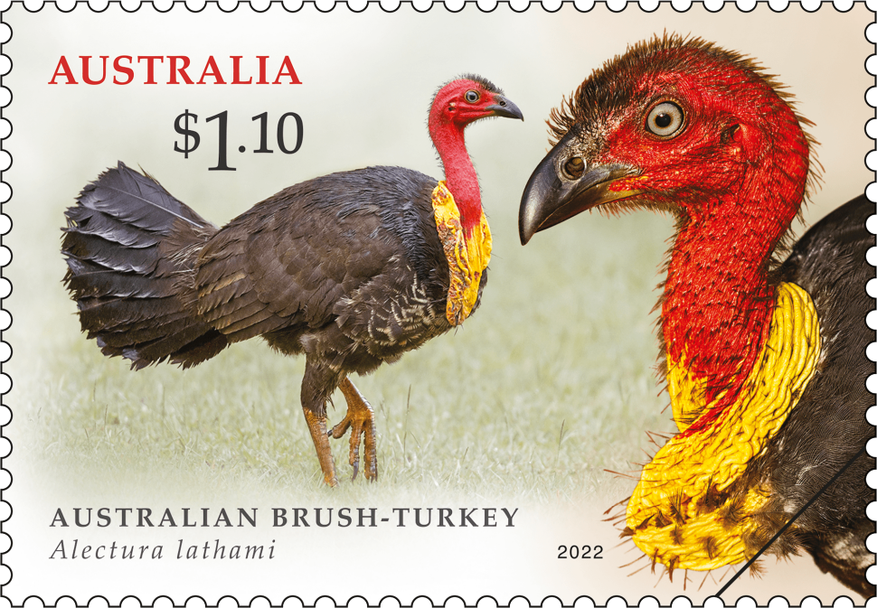 $1.10 Australian Brush-turkey (Alectura lathami)