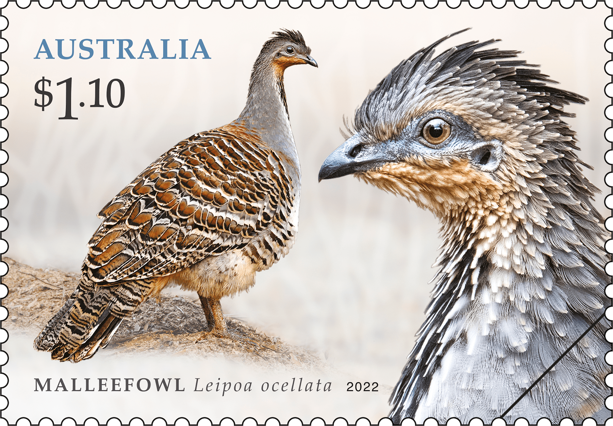 $1.10 Malleefowl (Leipoa occellata)