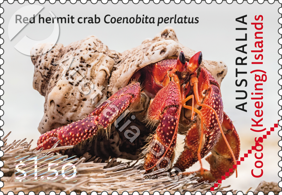 $1.50 Red Hermit Crab stamp