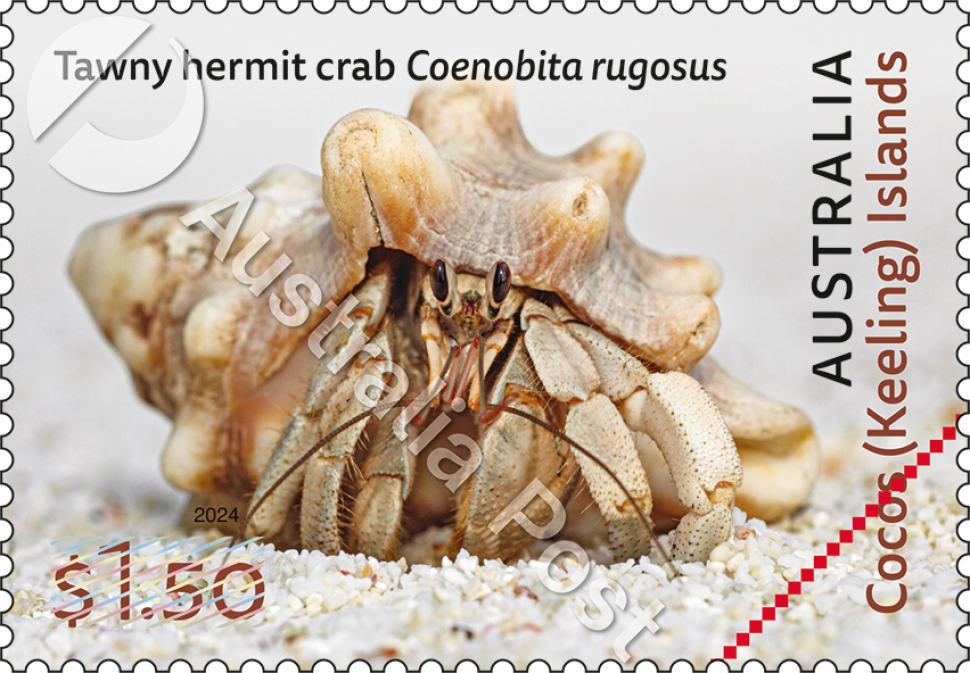 $1.50 Tawny Hermit Crab stamp