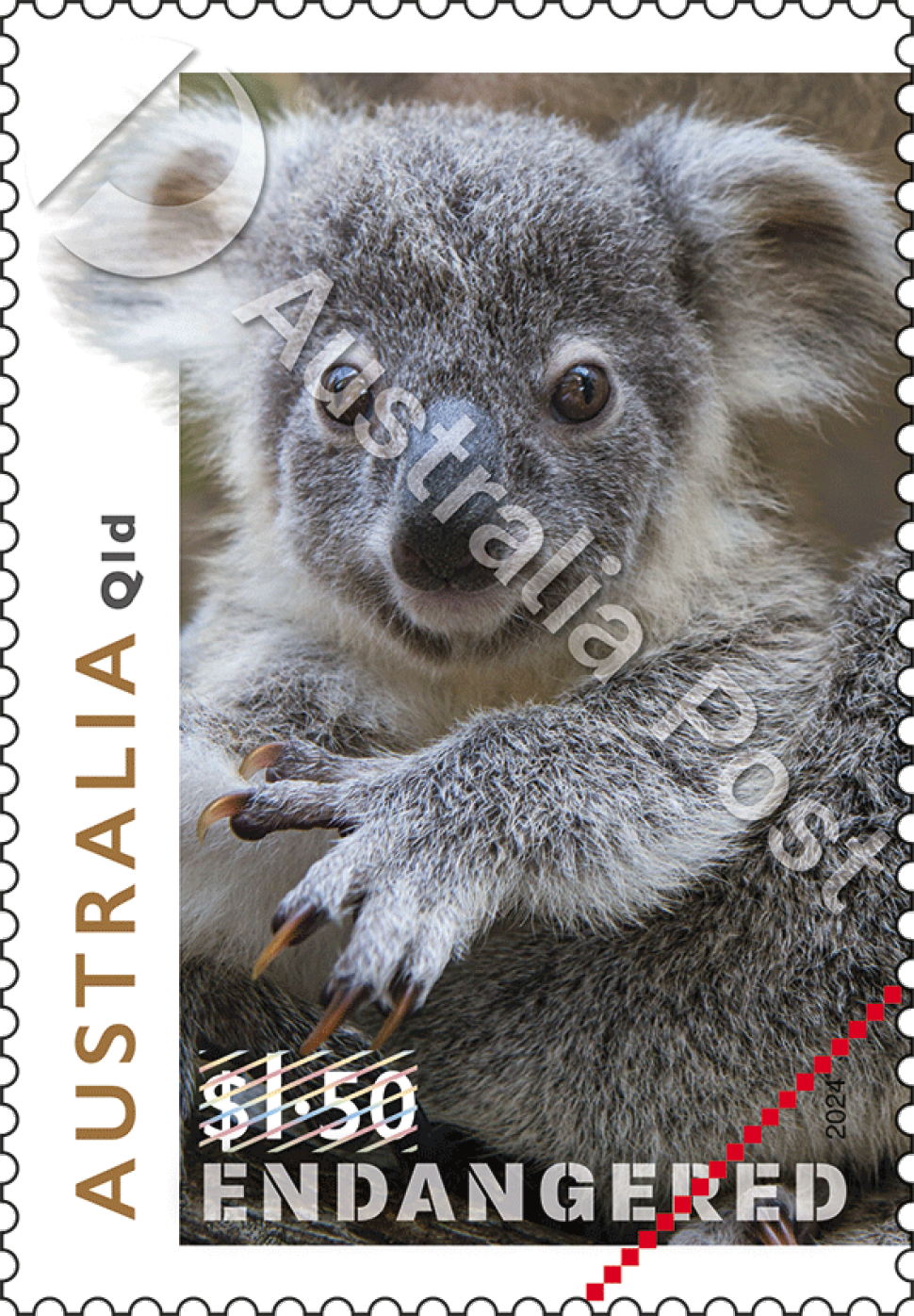 $1.50 Young Koala, Queensland stamp