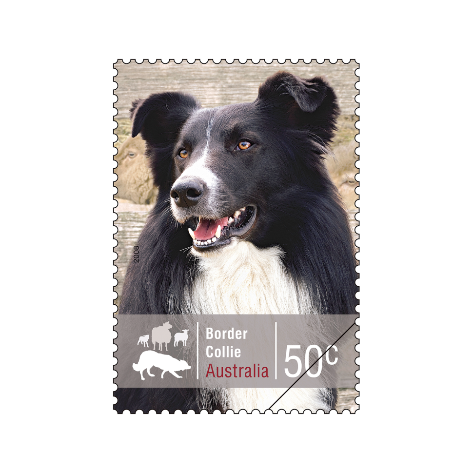 The top stamp overall as voted by the readers of the Stamp Bulletin was the Border Collie stamp from the Working Dogs stamp issue.