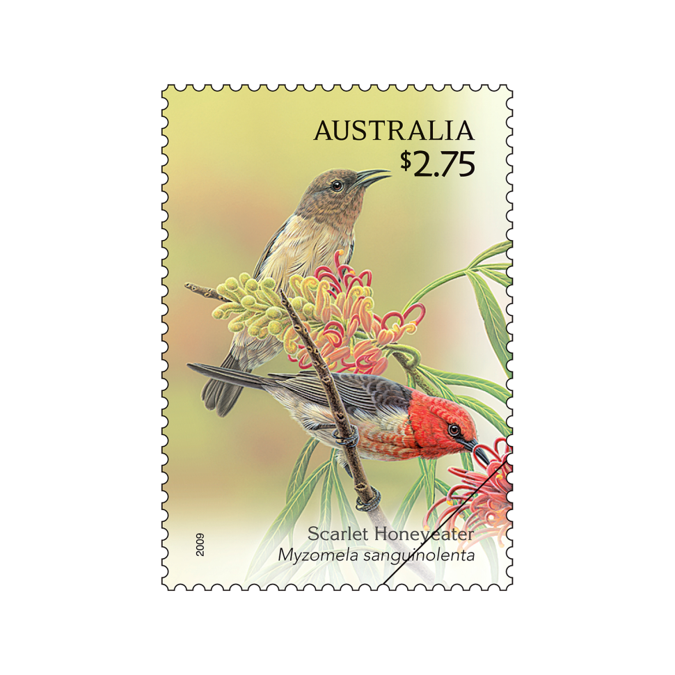 2009 Scarlet Honeyeater stamp from the Australian Songbirds stamp issue