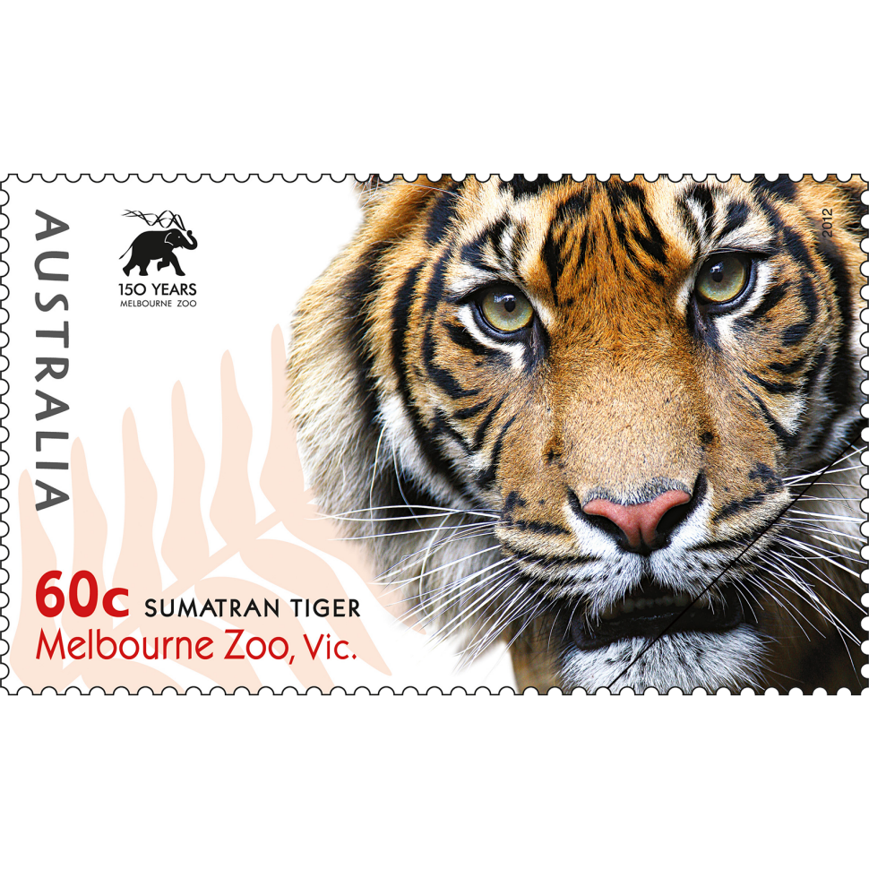 The favourite Australian Stamp was the Sumatran Tiger stamp from the Australian Zoos issue.