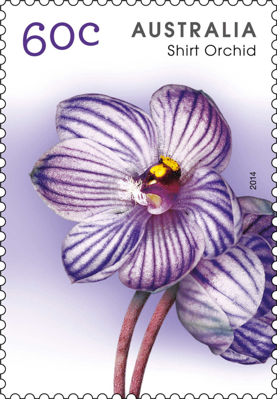 60 cent Shirt Orchid stamp