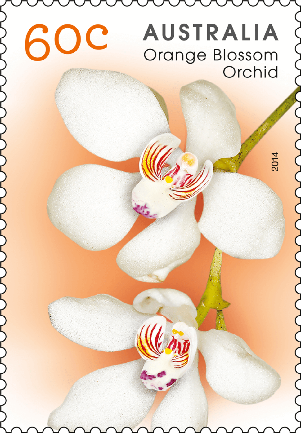 60 cent Orange  Blossom orchid stamp