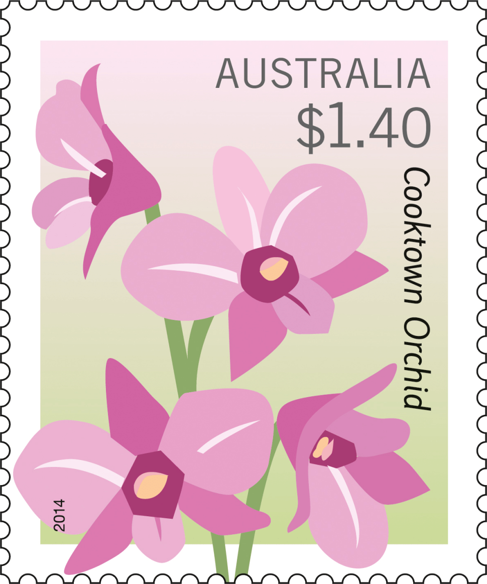 $1.40 Cooktown Orchid