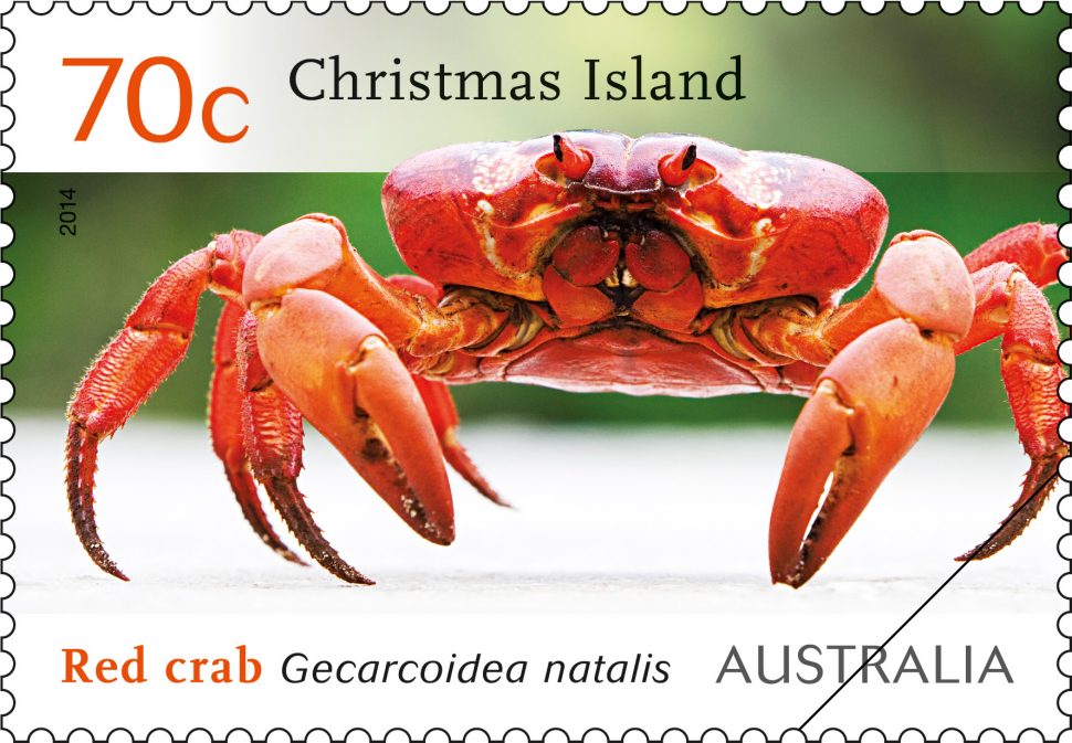 Christmas Island: Red Crab Migration