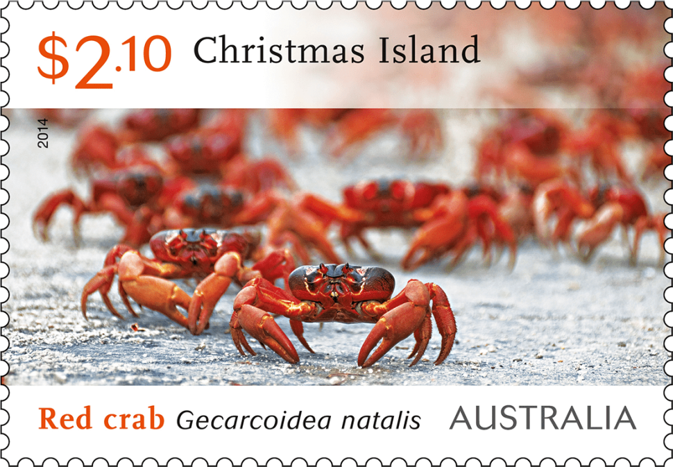 Краб читы. Christmas Island Red Crab Migration. Марка с крабами Австралия. Почтовые марки краб. Крабы миграция Козумель.