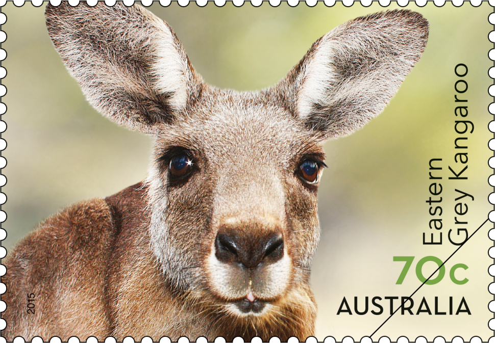 Eastern Grey Kangaroo 70 cent stamp