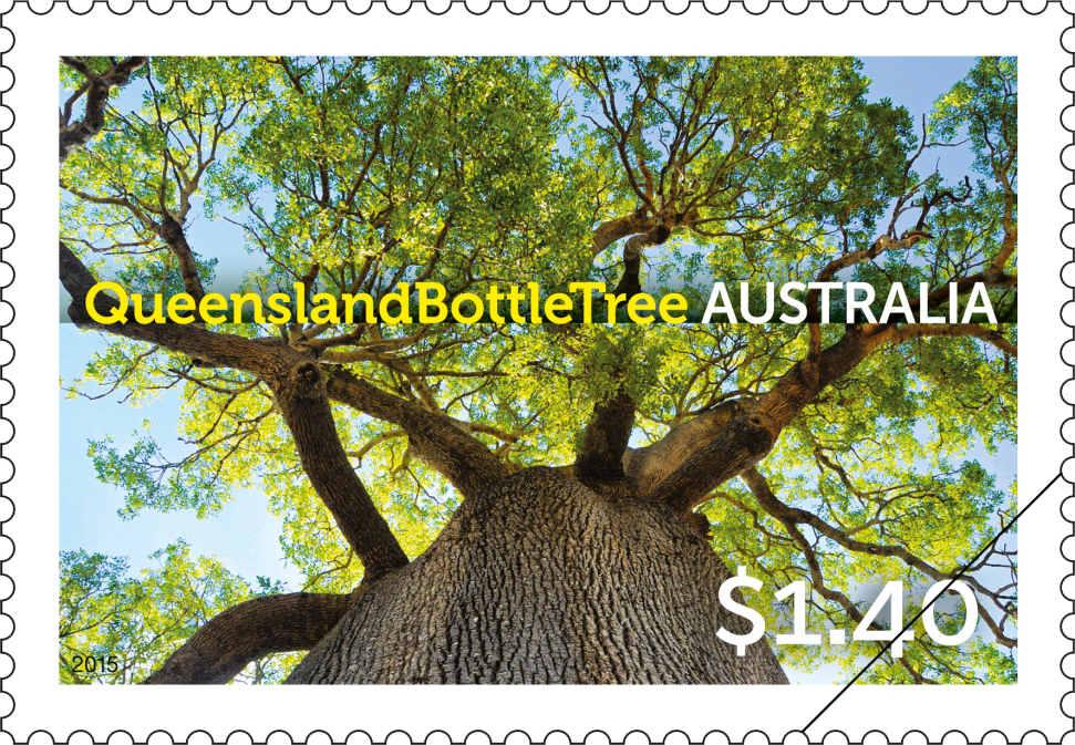$1.40 Queensland Bottle Tree