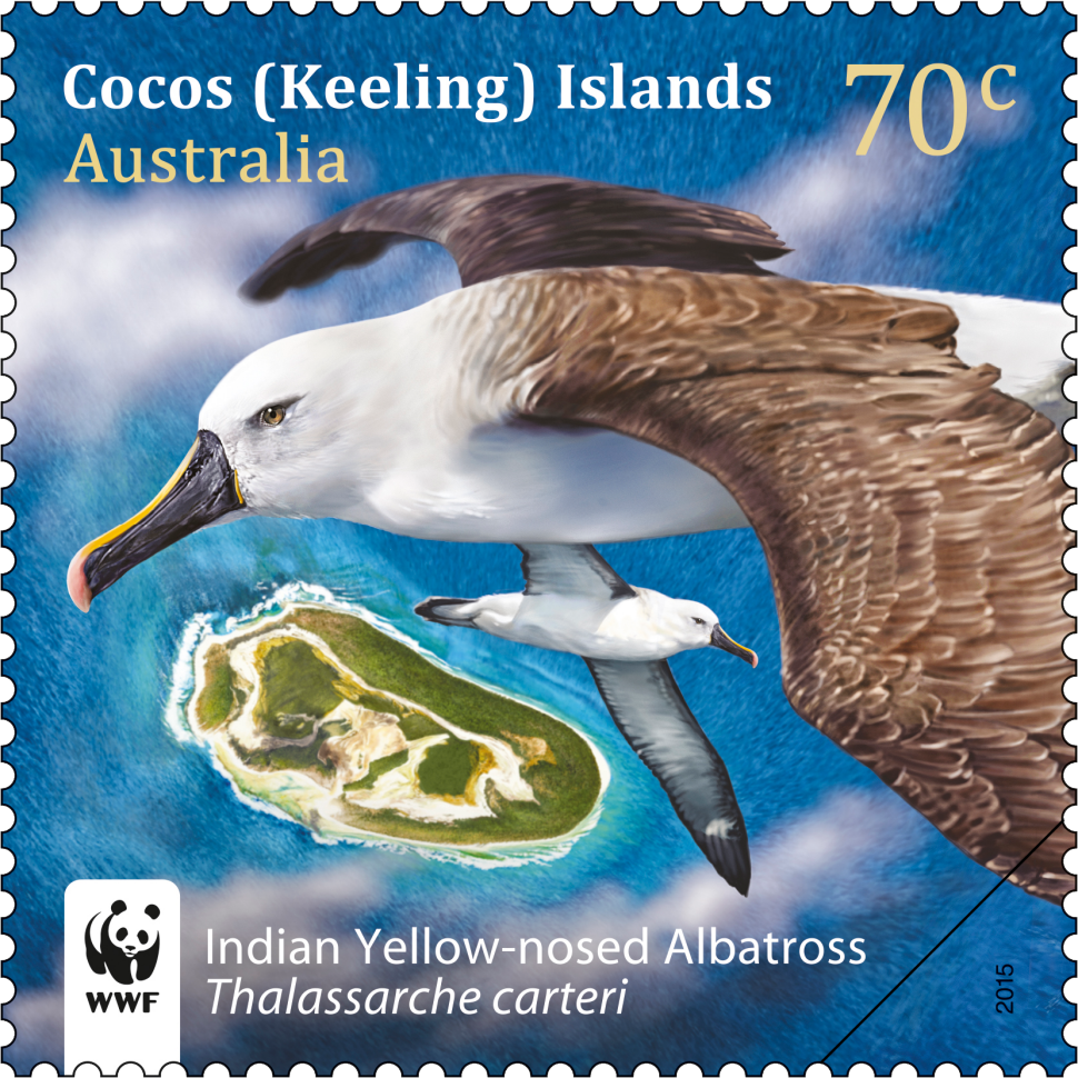 70c Indian Yellow-nosed Albatross, Thalassarche carter