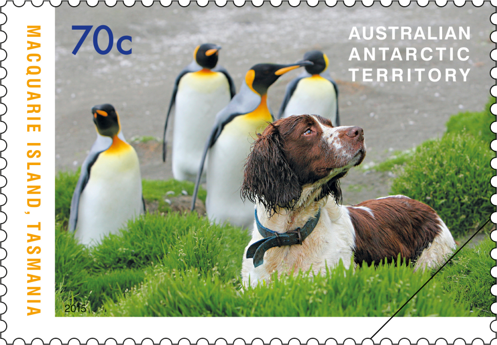 The Dogs that Saved Macquarie Island