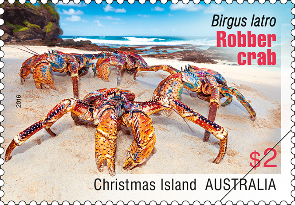 Christmas Island Robber Crabs