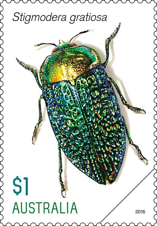 Jewel Beetles Australia Post